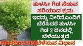 ಜ.12ರಂದು ವಿದ್ಯಾರಣ್ಯಪುರ ಪರಿಸರ ಉತ್ಸವ-2020